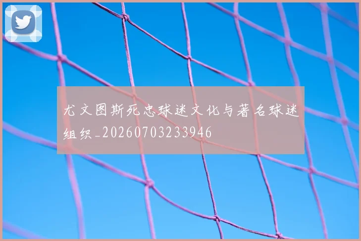 尤文图斯死忠球迷文化与著名球迷组织_20260703233946